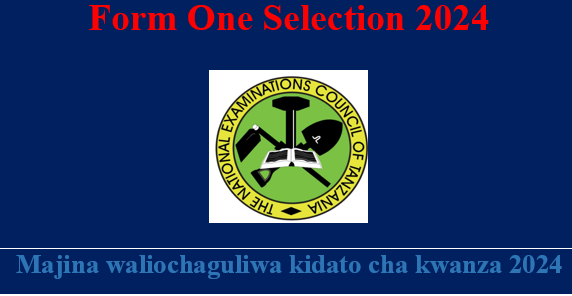 Form One Selection 2024 