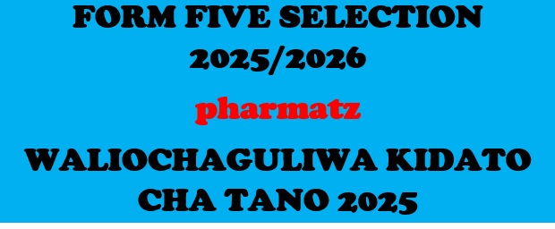 FORM FIVE SELECTION 2025/2026